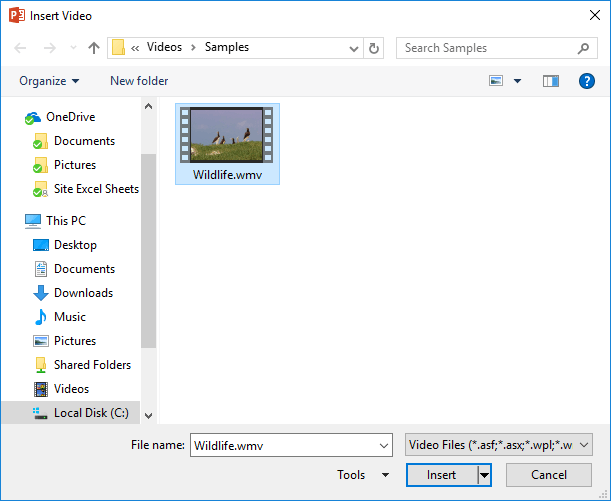 Insert Video dialog box Insert Video dialog box
