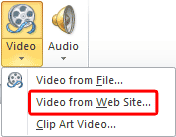 Video from Web Site option within the Video drop-down gallery