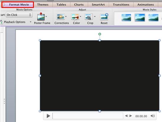Format Movie tab of the Ribbon Format Movie tab of the Ribbon