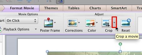 Crop button within the Adjust group Crop button within the Adjust group