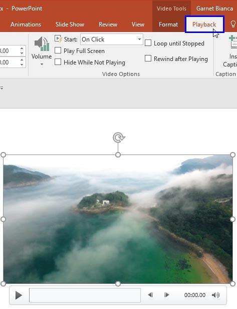 Video Tools Playback tab of the Ribbon