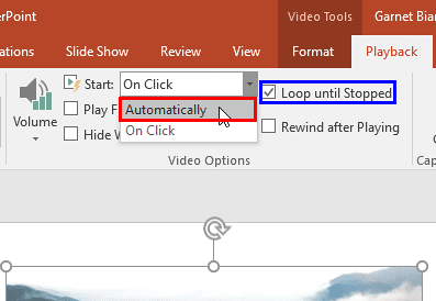 Automatically option and the Loop until Stopped check-box selected