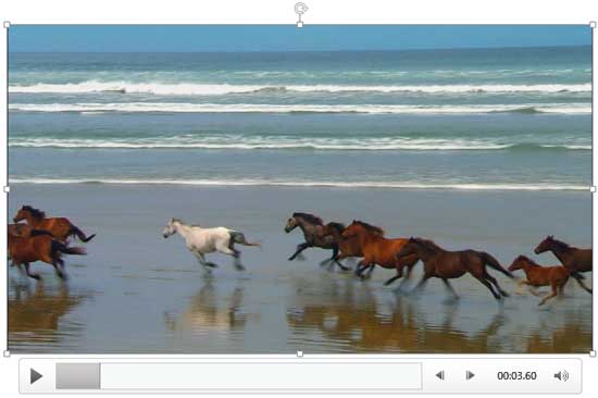 Paused video shows a frame Paused video shows a frame