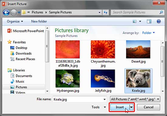 Insert Picture dialog box Insert Picture dialog box