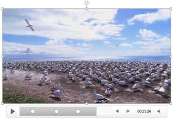 Learn PowerPoint 2013 for Windows: Remove Bookmarks from Video Clips