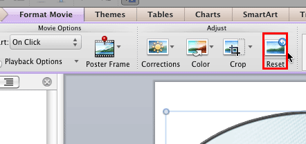 Reset button within the Adjust group Reset button within the Adjust group