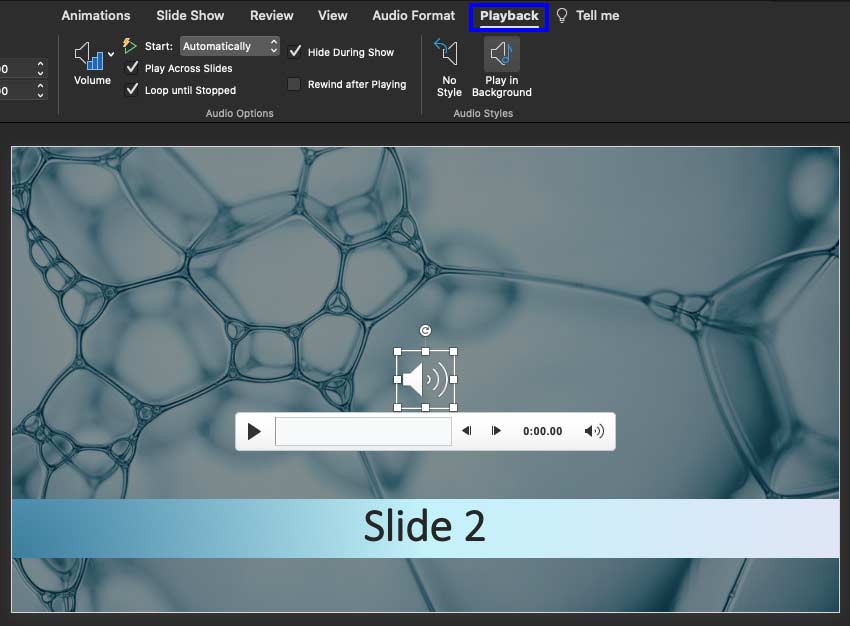 Playback tab selected within the Ribbon