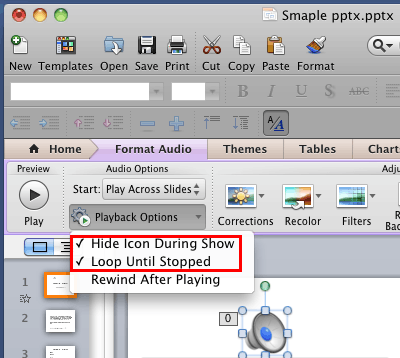 Hide Icon During Show and Loop Until Stopped options selected Hide Icon During Show and Loop Until Stopped options selected