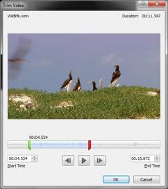 Learn PowerPoint 2010 for Windows: Trim Video Clips