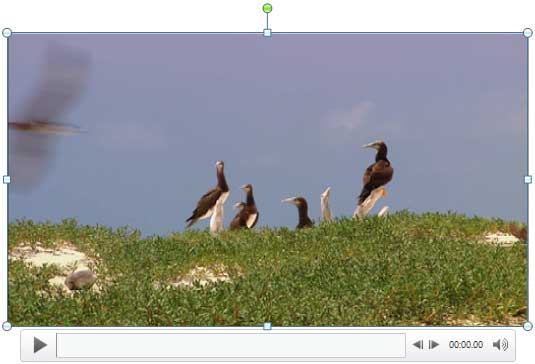 Trimmed video clip Trimmed video clip