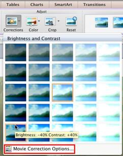 Learn PowerPoint 2011 for Mac: Video (Movie) Correction Adjustments