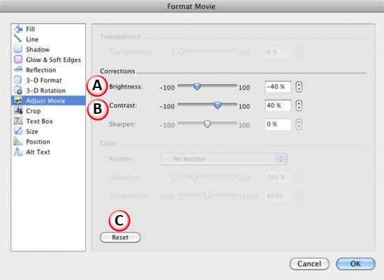 Corrections options within the Format Movie dialog box Corrections options within the Format Movie dialog box