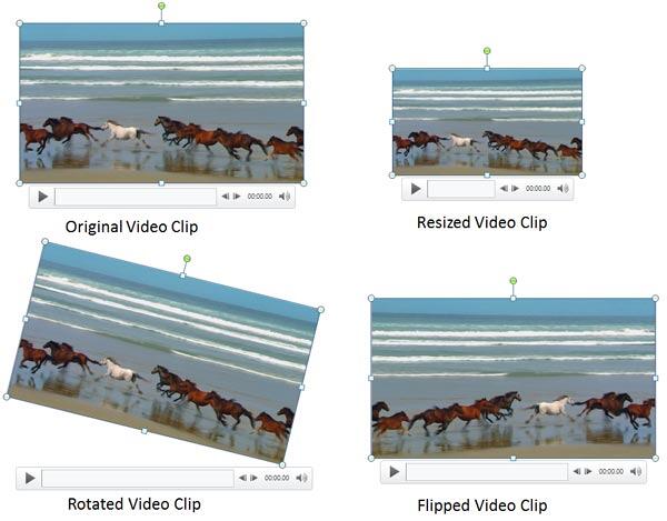 Variants of the same video clip applied with resize, rotate, and flip options