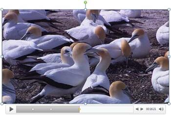 Learn PowerPoint 2010 for Windows: Add Bookmarks for Video Clips