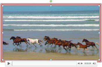 Learn PowerPoint 2010 for Windows: Video Borders
