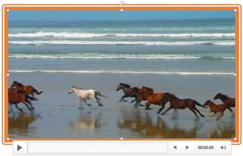 Learn PowerPoint 2013 for Windows: Video Borders