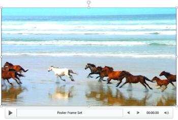 Learn PowerPoint 2013 for Windows: Video Correction Adjustments
