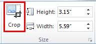 Crop button within Size group Crop button within Size group