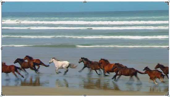 Result of selecting the Crop option on a video clip Result of selecting the Crop option on a video clip