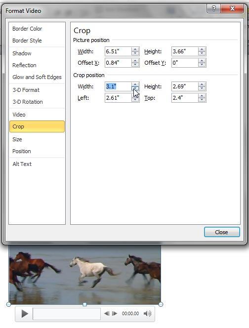 Format Video dialog box Format Video dialog box