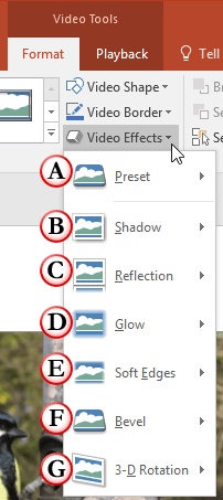 Video Effects drop-down gallery