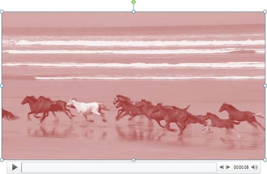 Selected video recolored Selected video recolored