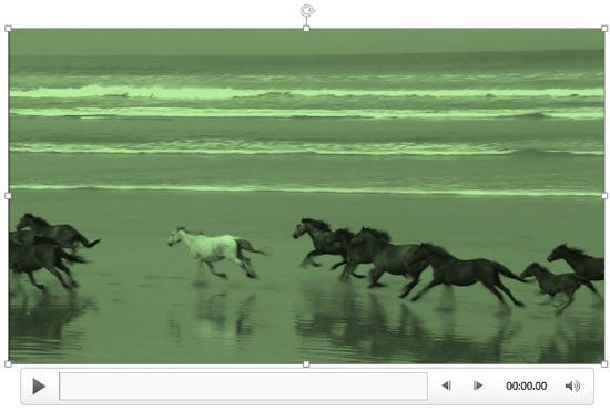 Selected video recolored Selected video recolored