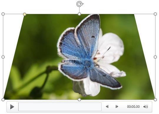 Video within the Trapezoid shape Video within the Trapezoid shape