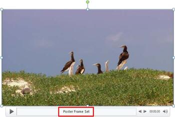 Learn PowerPoint 2010: Poster Frames for Videos
