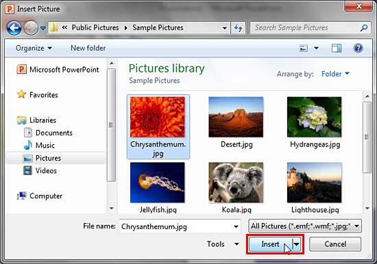 Insert Picture dialog box Insert Picture dialog box