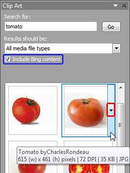 Search within the Clip Art Task Pane