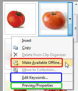 Make Available Offline option Make Available Offline option