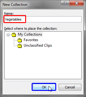 New Collection dialog box