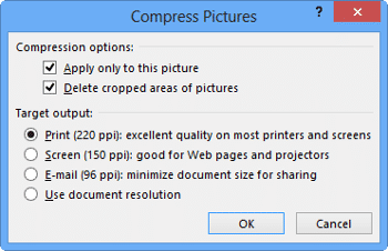 Learn PowerPoint 2013 for Windows: Adjust Picture Options