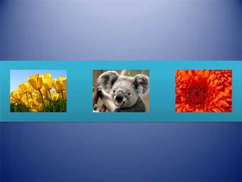 Learn PowerPoint 2011 for Mac: Chart Styles