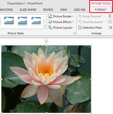 Picture Tools Format tab of the Ribbon