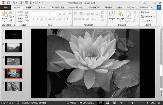 Black and White Options for Photo Album Presentations in PowerPoint