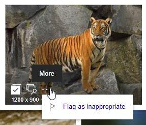Flag image as inappropriate