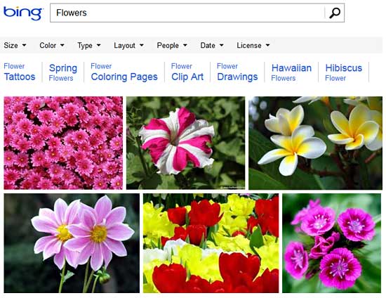 Search results for Flowers