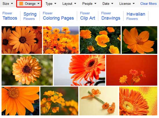 Search results of orange pictures