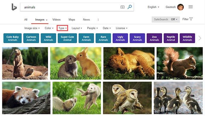 Search results for Animals