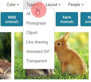 Bing Images Search by Type Filters