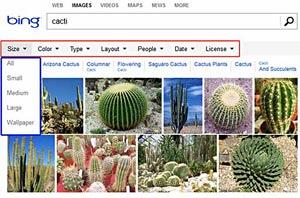 Bing Image Search