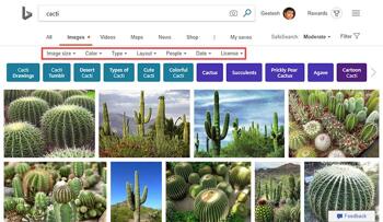 Bing Image Search