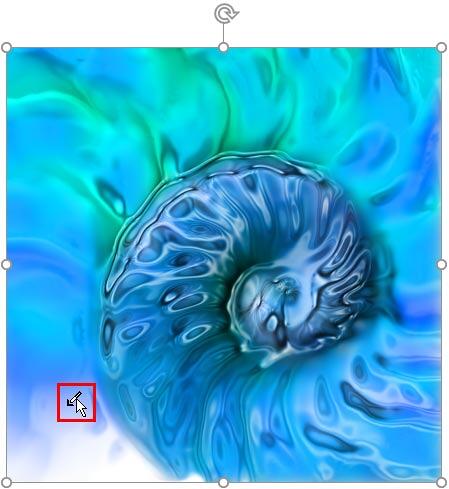 Cursor changes when Set Transparent Color option is selected Cursor changes when Set Transparent Color option is selected