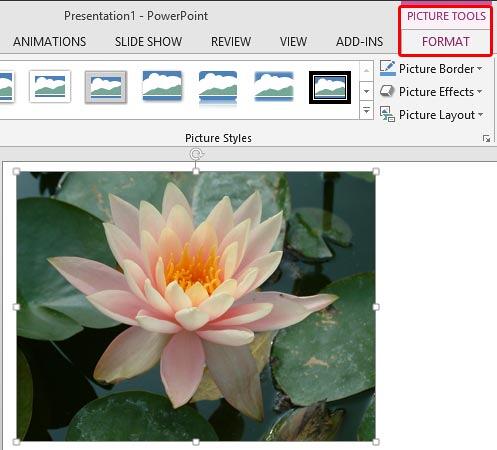 Picture Tools Format tab of the Ribbon Picture Tools Format tab of the Ribbon
