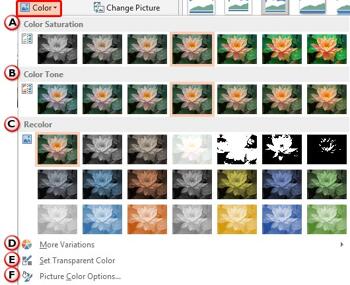 Changing Color of Pictures in PowerPoint 2013 for Windows