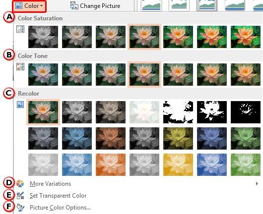 Color drop-down gallery Color drop-down gallery