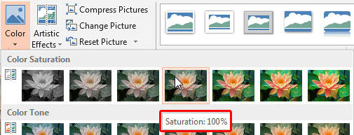 Tool Tip displaying saturation value in percentage Tool Tip displaying saturation value in percentage