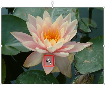 Cursor changes when Set Transparent Color option is selected Cursor changes when Set Transparent Color option is selected